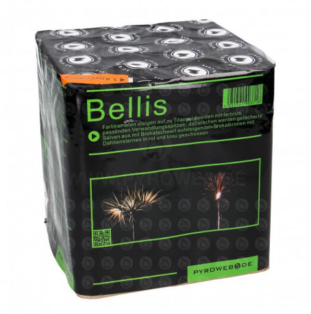 Bellis, 21 Schuss Batterie