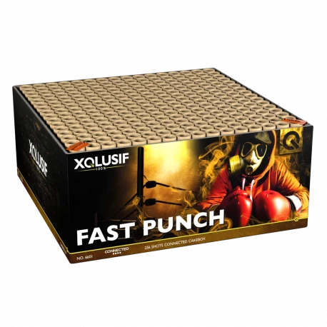 Fast Punch, 256-Schuss-Verbundfeuerwerk im Käfig