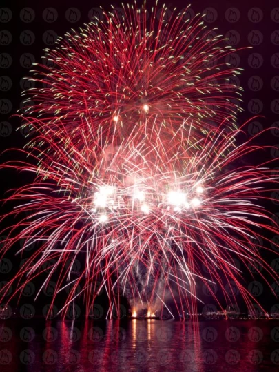 Feuerwerk Poster - Rapallo