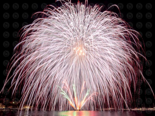 Feuerwerk Poster - Rapallo