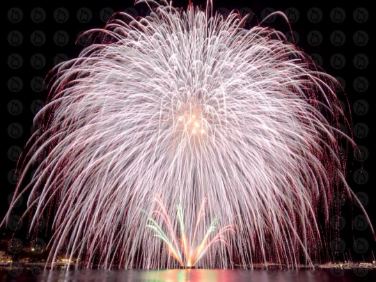 Feuerwerk Poster - Rapallo