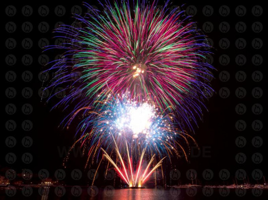 Feuerwerk Poster - Rapallo