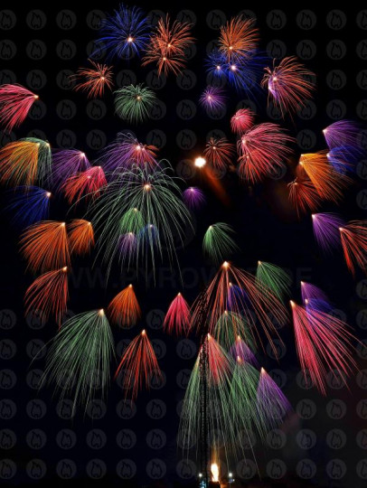 Feuerwerk Poster - Shell of Shells