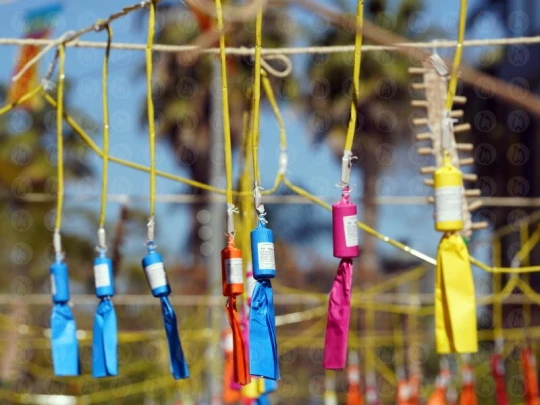 Feuerwerk Poster - Valencia