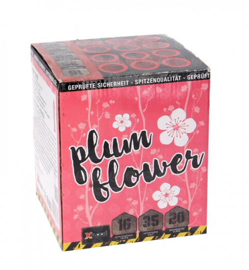 Plum Flower, 16 Schuss Batterie
