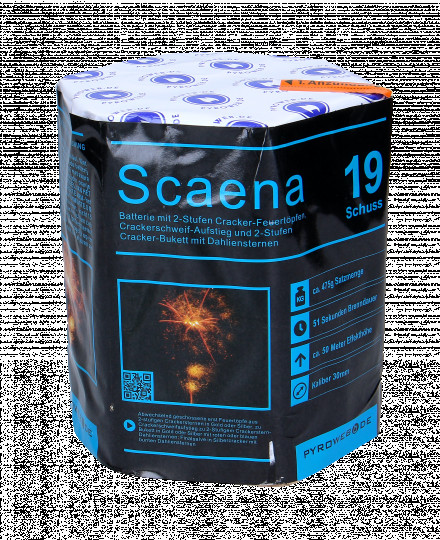 Scaena, 19 Schuss Batterie