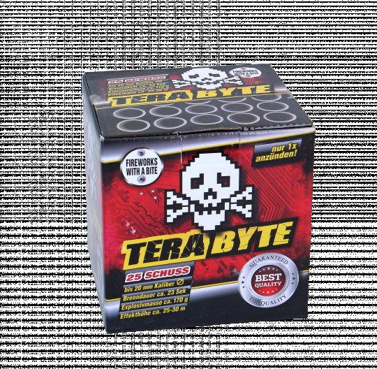 Terabyte, 25 Schuss Batterie