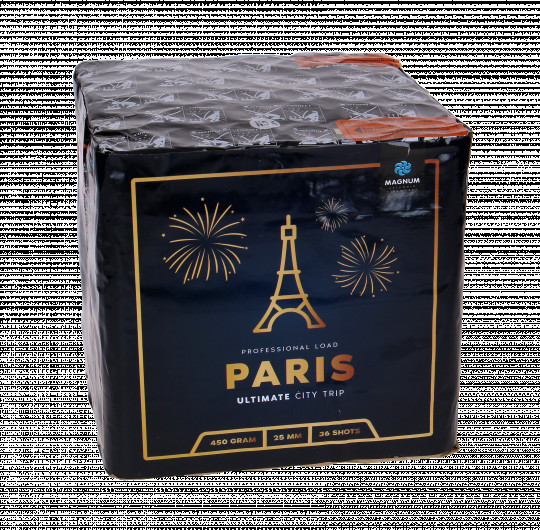 Ultimate City Trip Paris, 36 Schuss Batterie