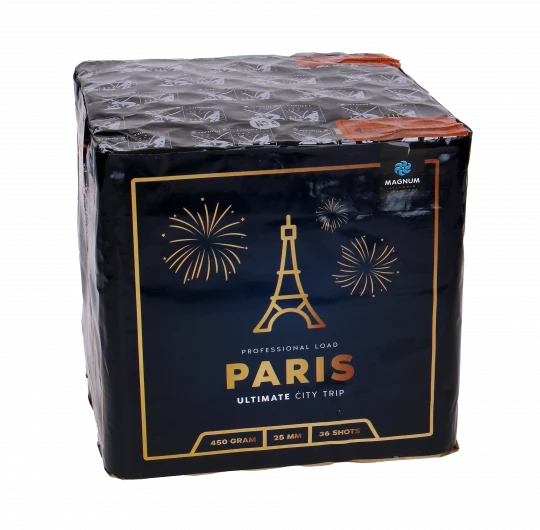 Ultimate City Trip Paris, 36 Schuss Batterie
