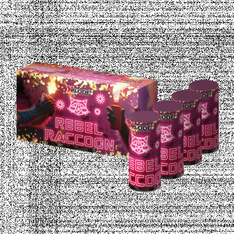 Rebel Raccoon - Crackling Fontänen