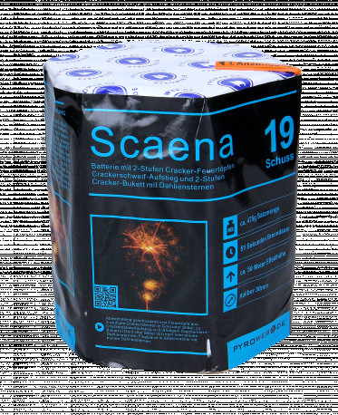 Scaena, 19 Schuss Batterie