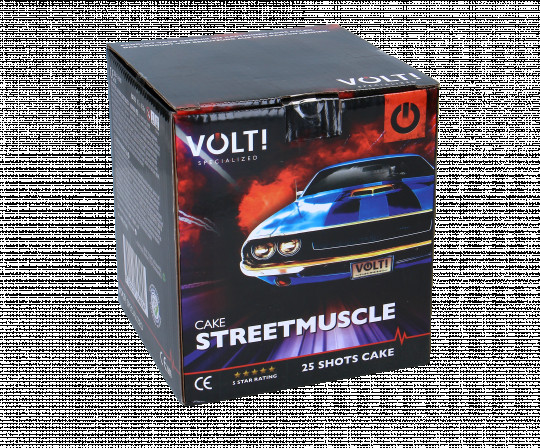 Streetmuscle, 25 Schuss Batterie