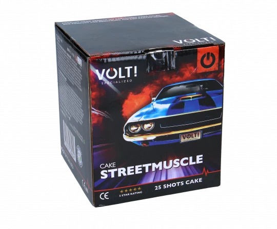 Streetmuscle, 25 Schuss Batterie