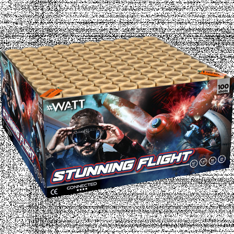 Stunning Flight, 100-Schuss-Verbundfeuerwerk