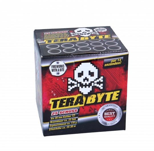 Terabyte, 25 Schuss Batterie